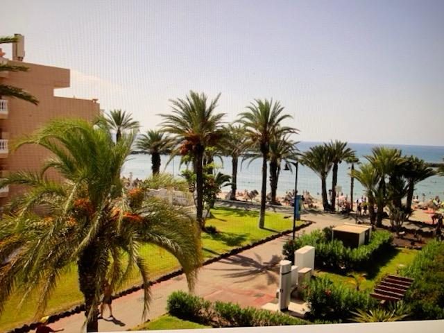 Estudio en Parque Santiago III, Los Cristianos